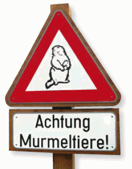 murmeltiere_achtung