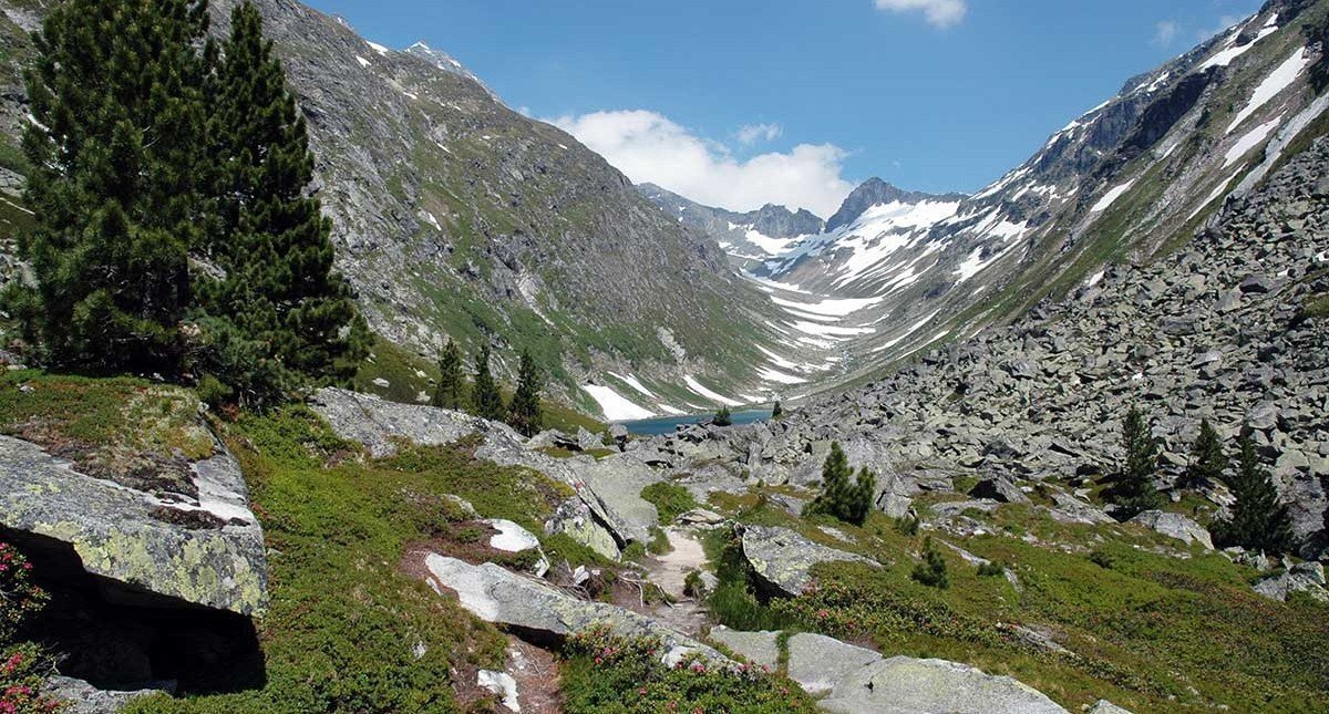 Dabaklamm